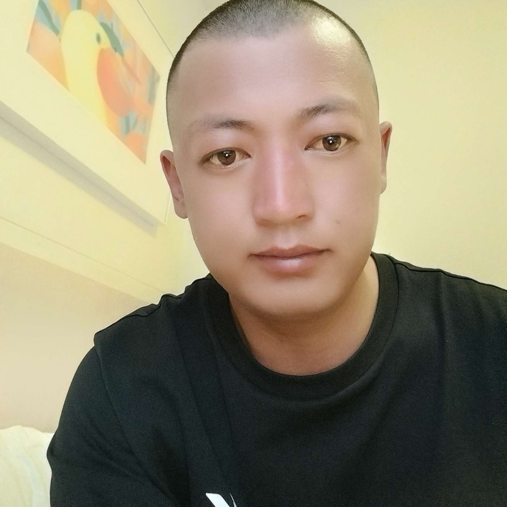 一木迎风的照片