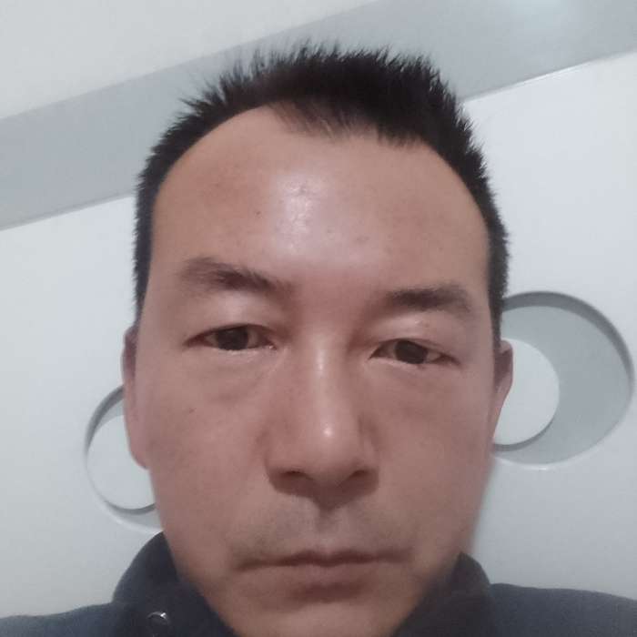 木头的照片