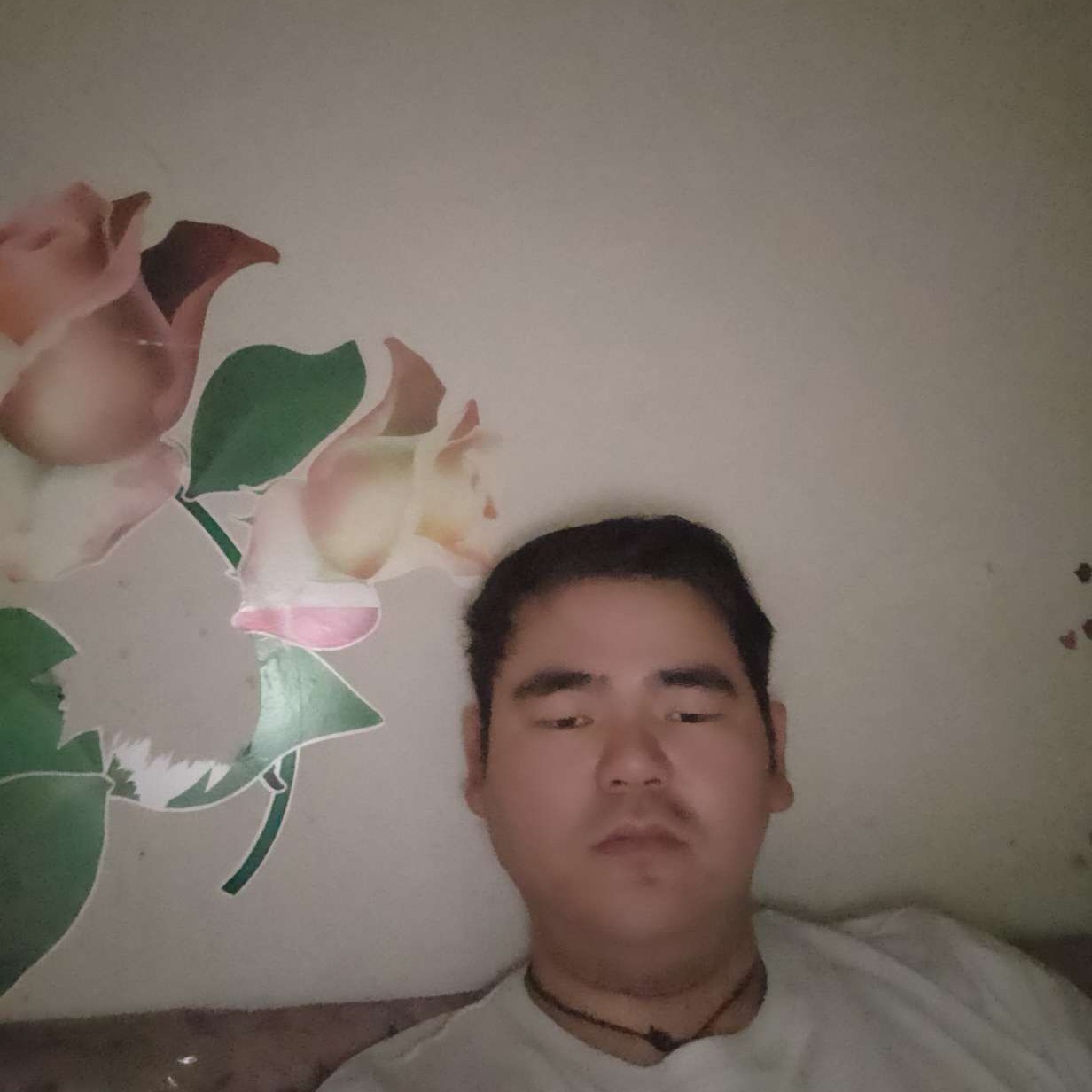 @南风轻拂的照片