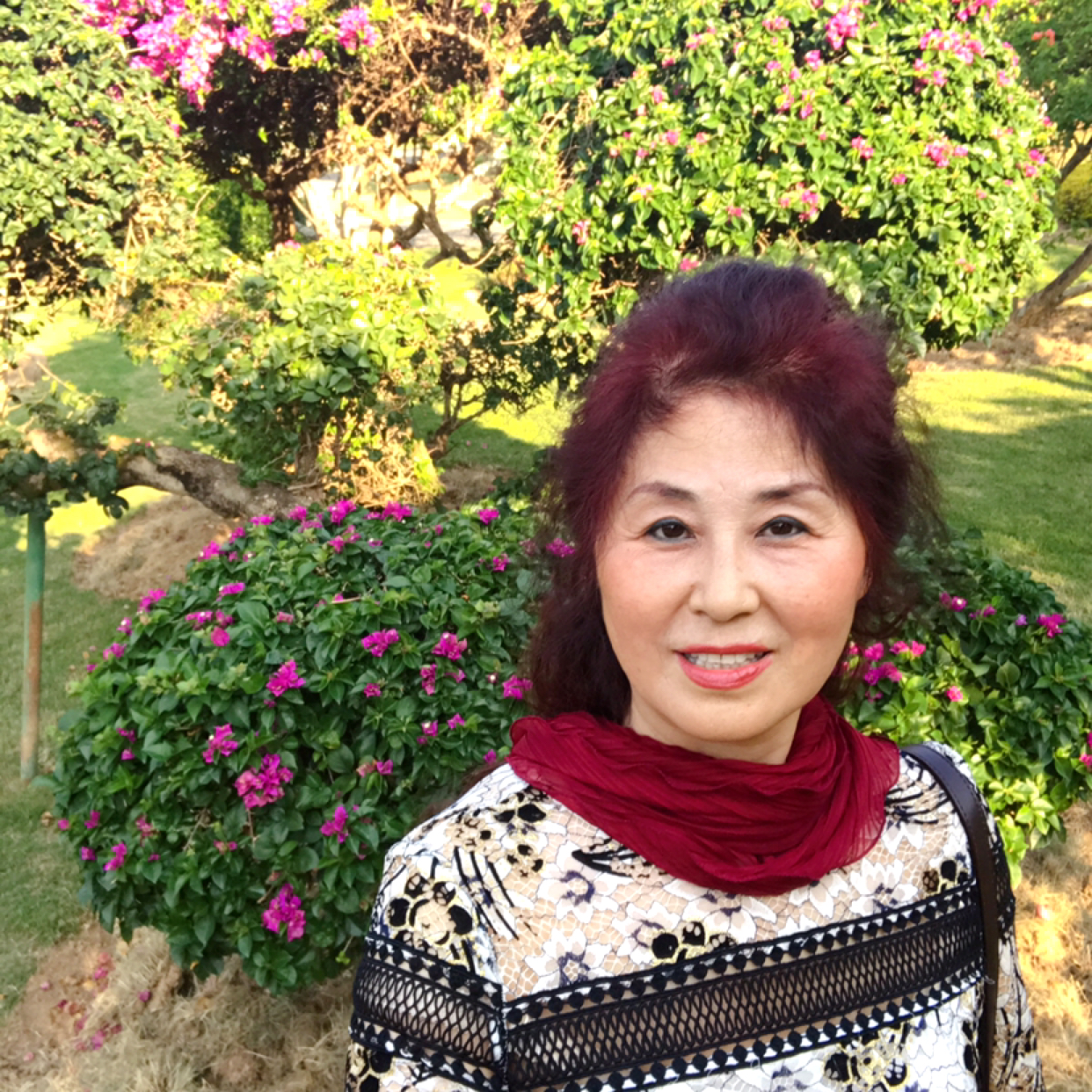 崖悔拾忆长情的照片