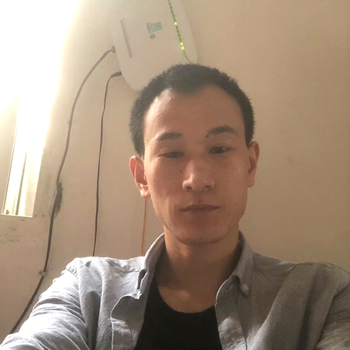 康乃馨保卫，的照片