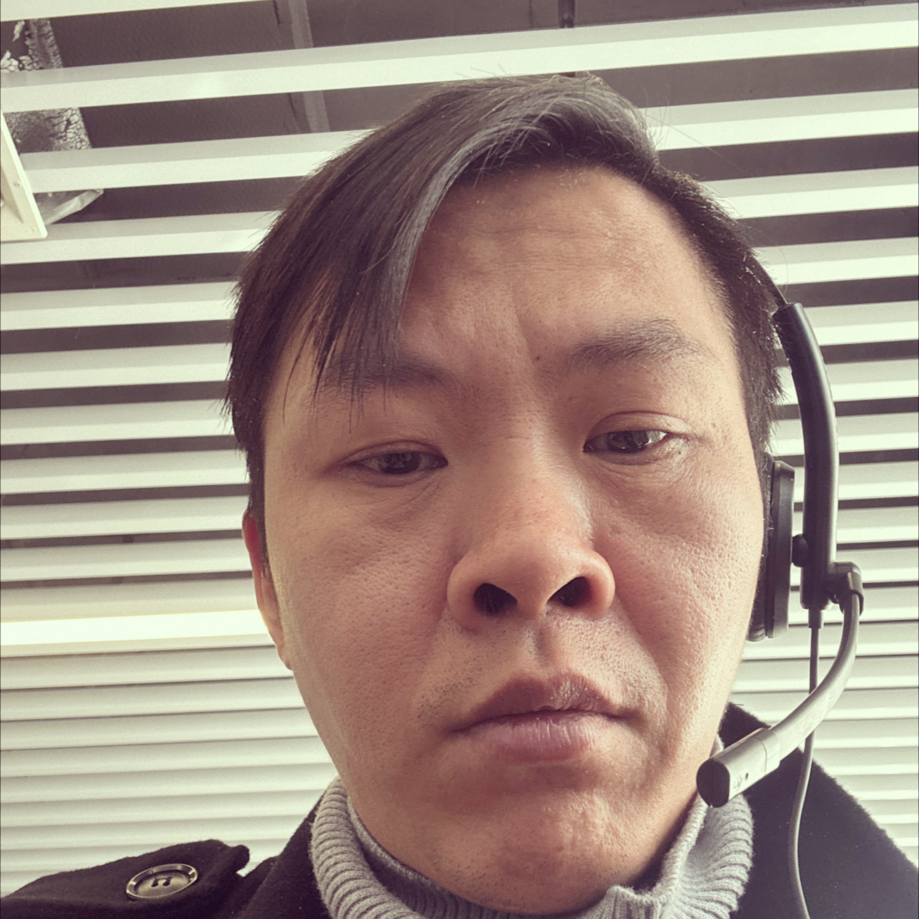 凉云暮叶的照片