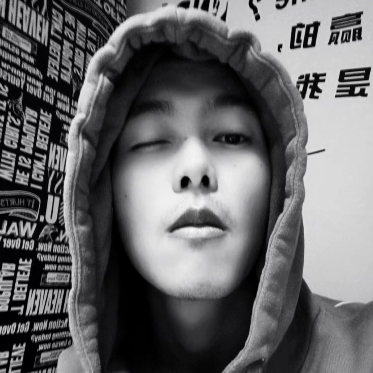 眠羊的照片