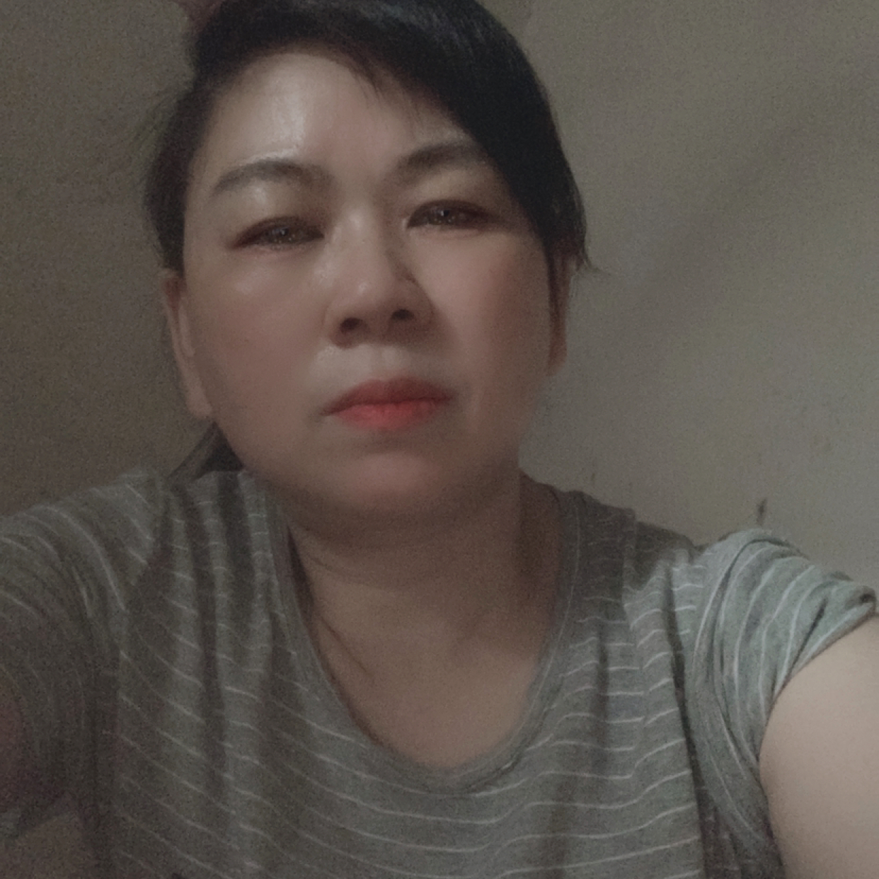 大雁相许长情的照片