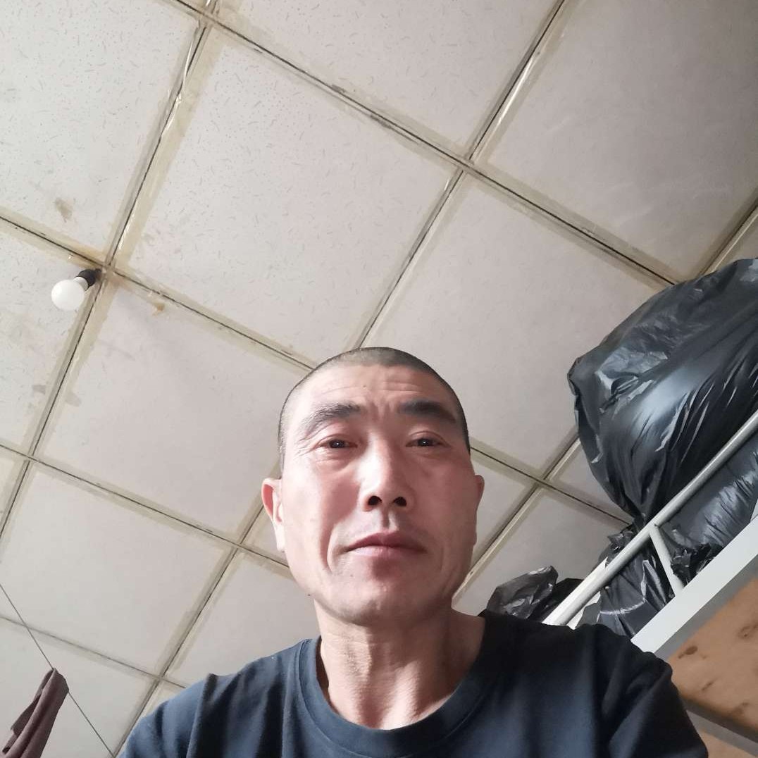 贪玩有飞鸟的照片