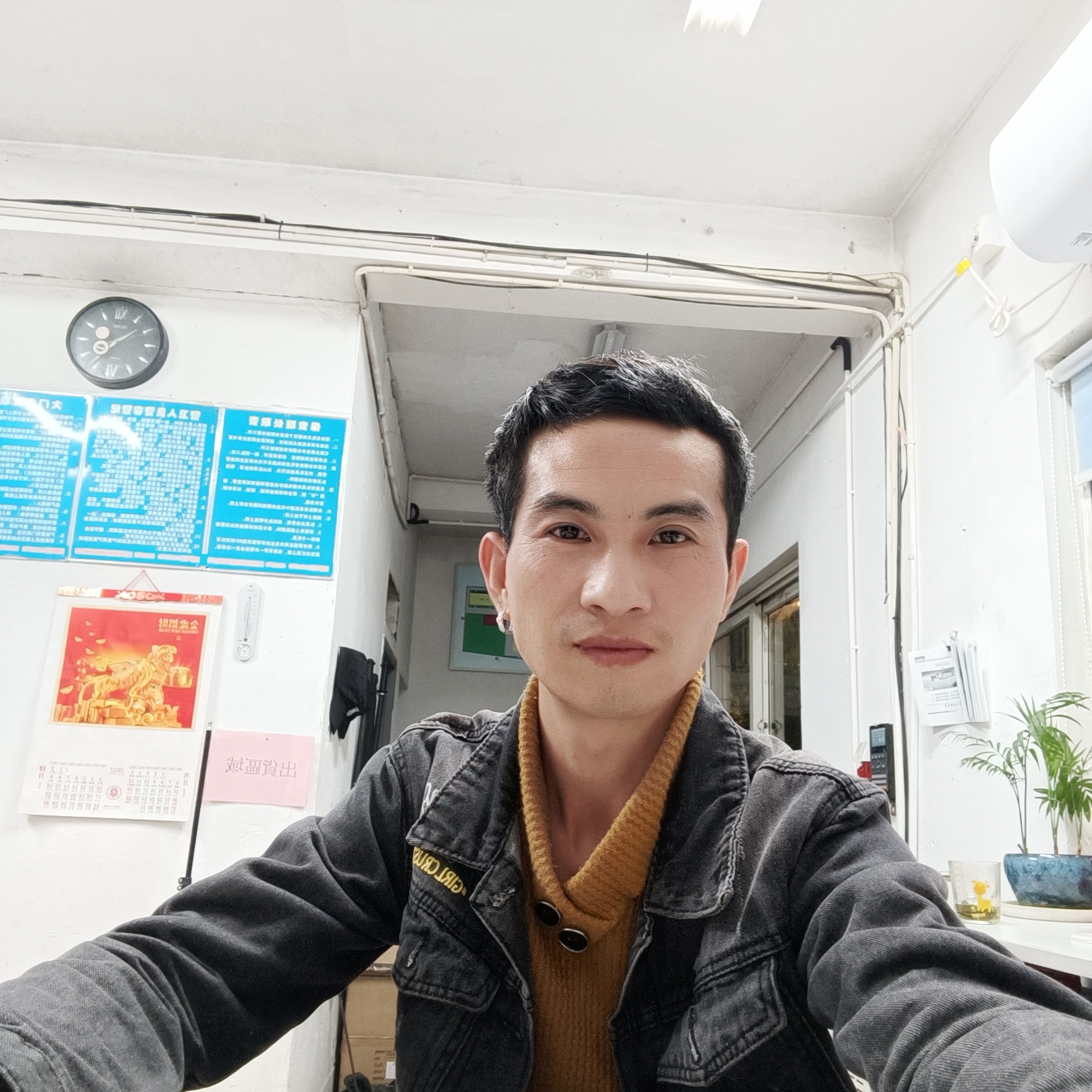 含羞草与冷艳的照片