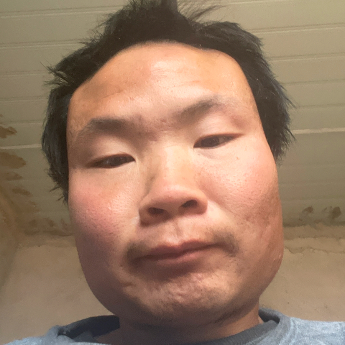 妩媚de猫头鹰的照片