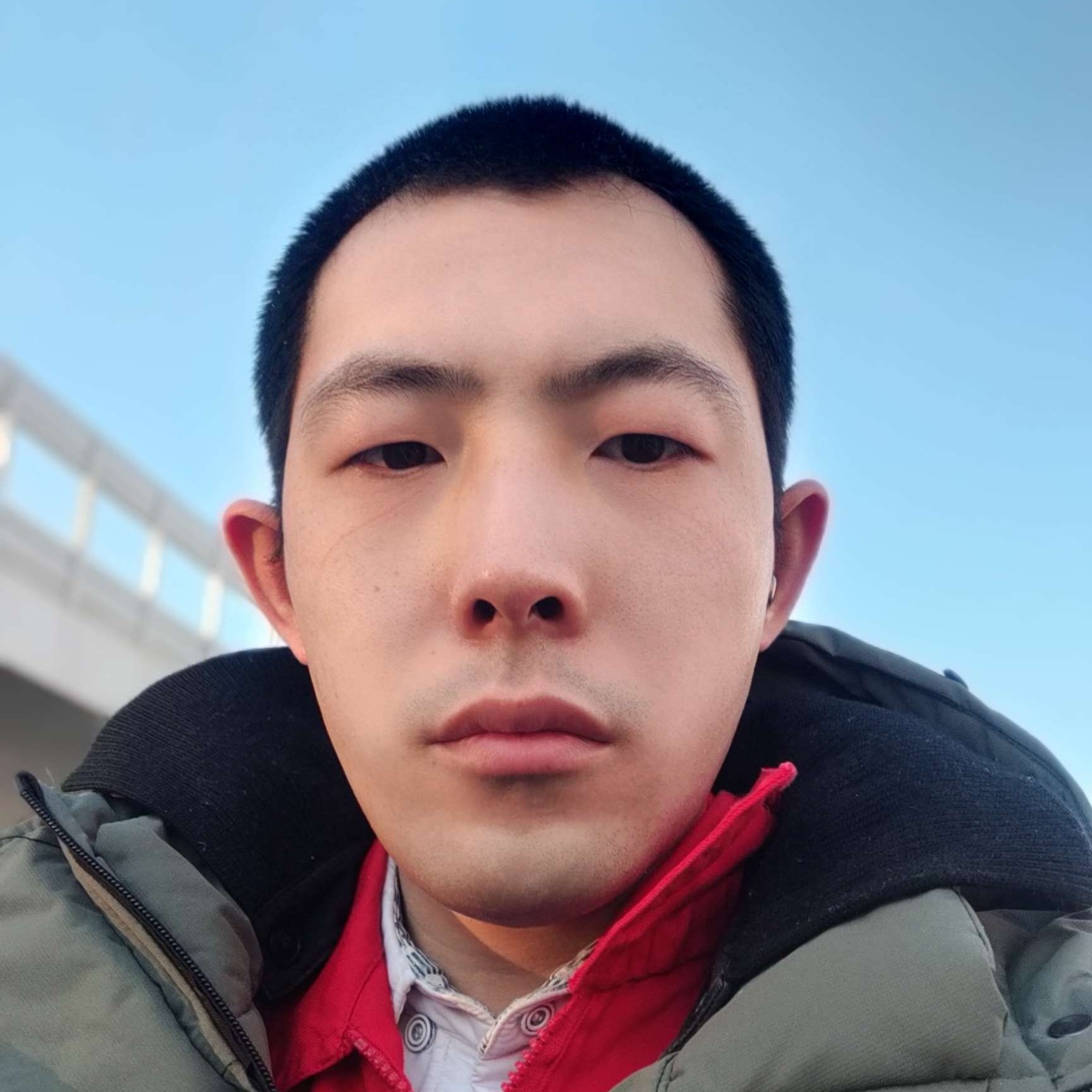 树深见鹿的照片