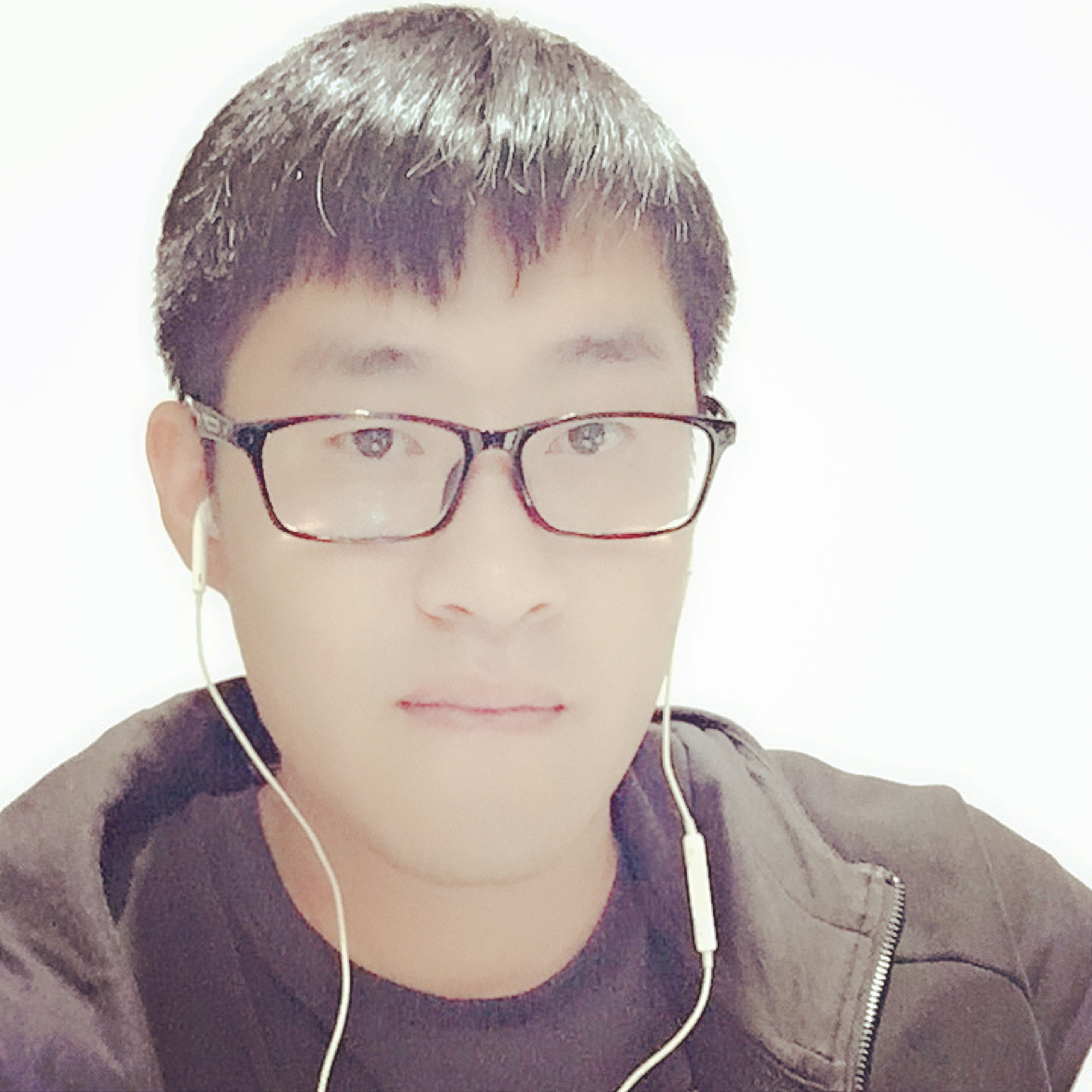 还单身方蜜蜂的照片