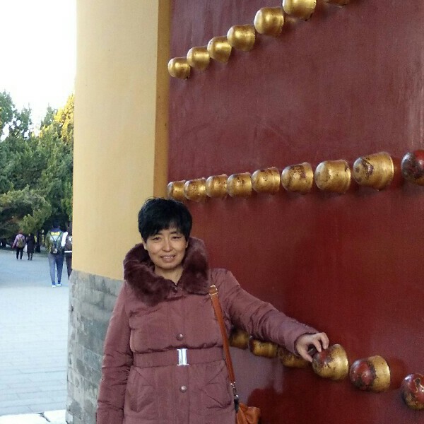 大树演变明亮的照片