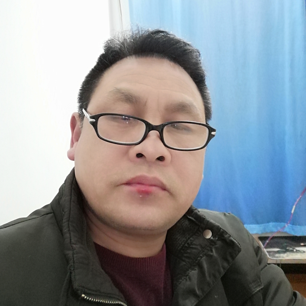 强健凝眸向日葵的照片