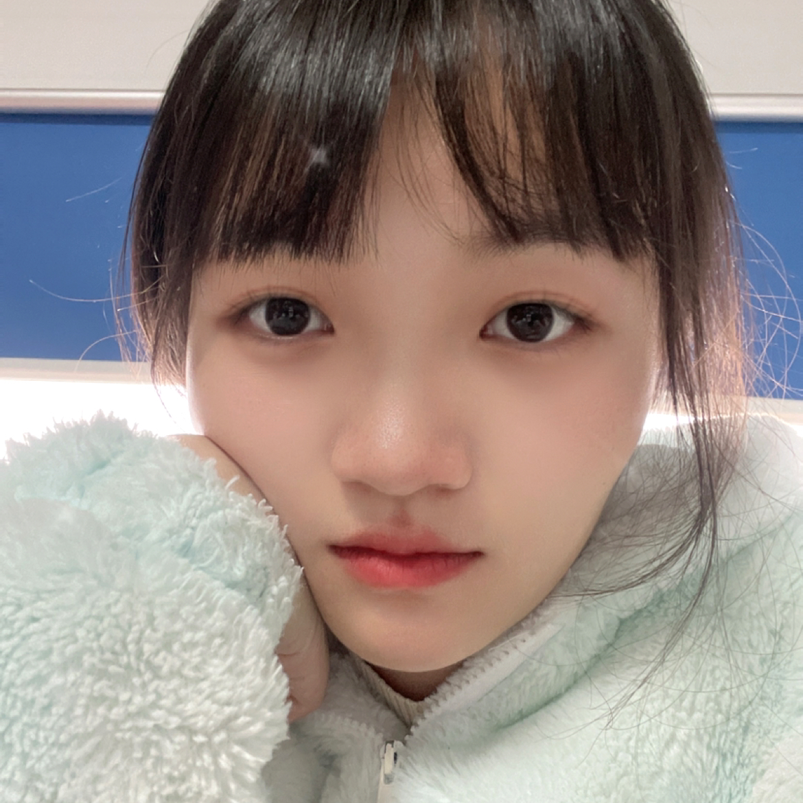 喵的照片