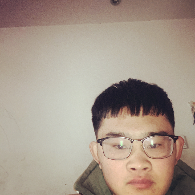 惊鸿就美好的照片