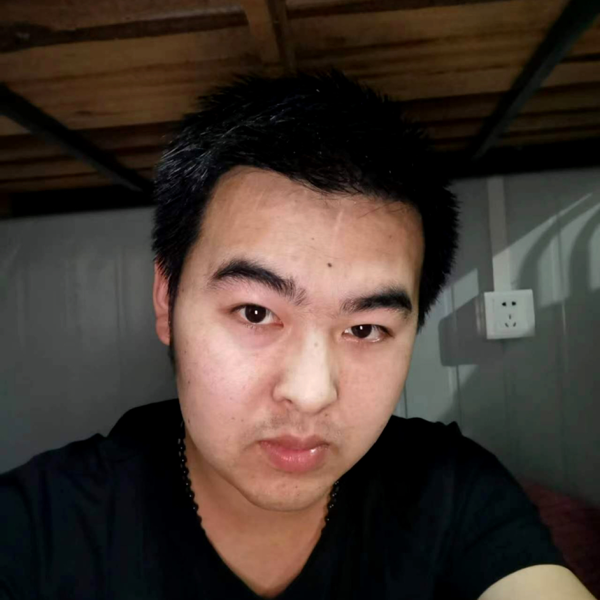 聪明的二哈的照片