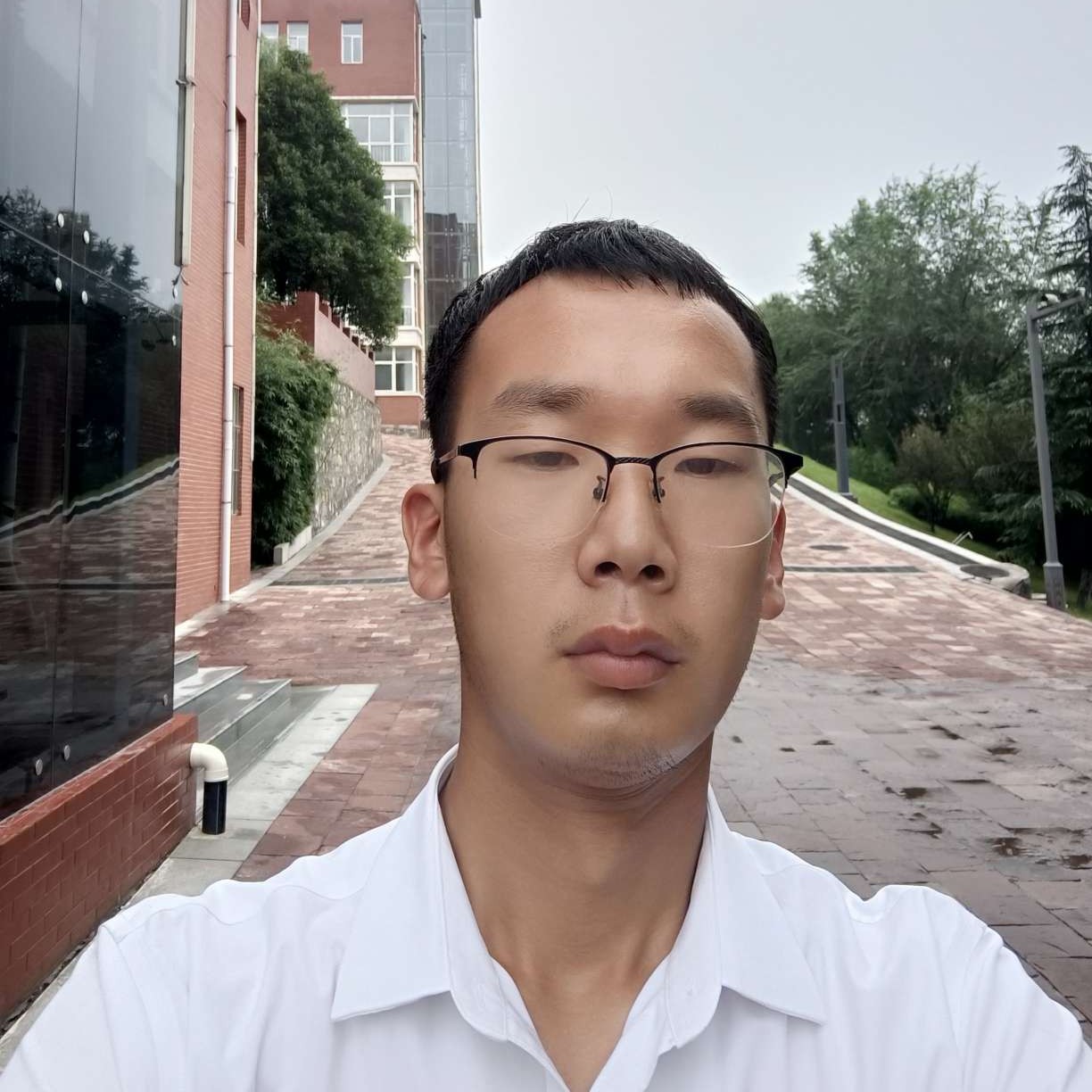 淡然方黑夜的照片