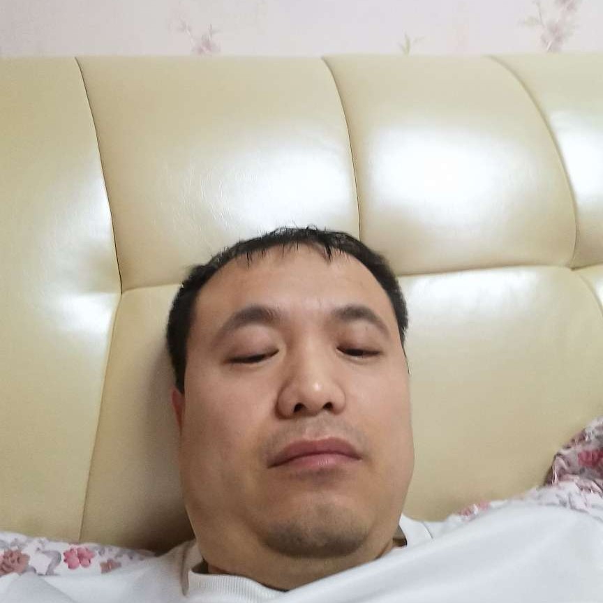 含羞草还勤恳的照片