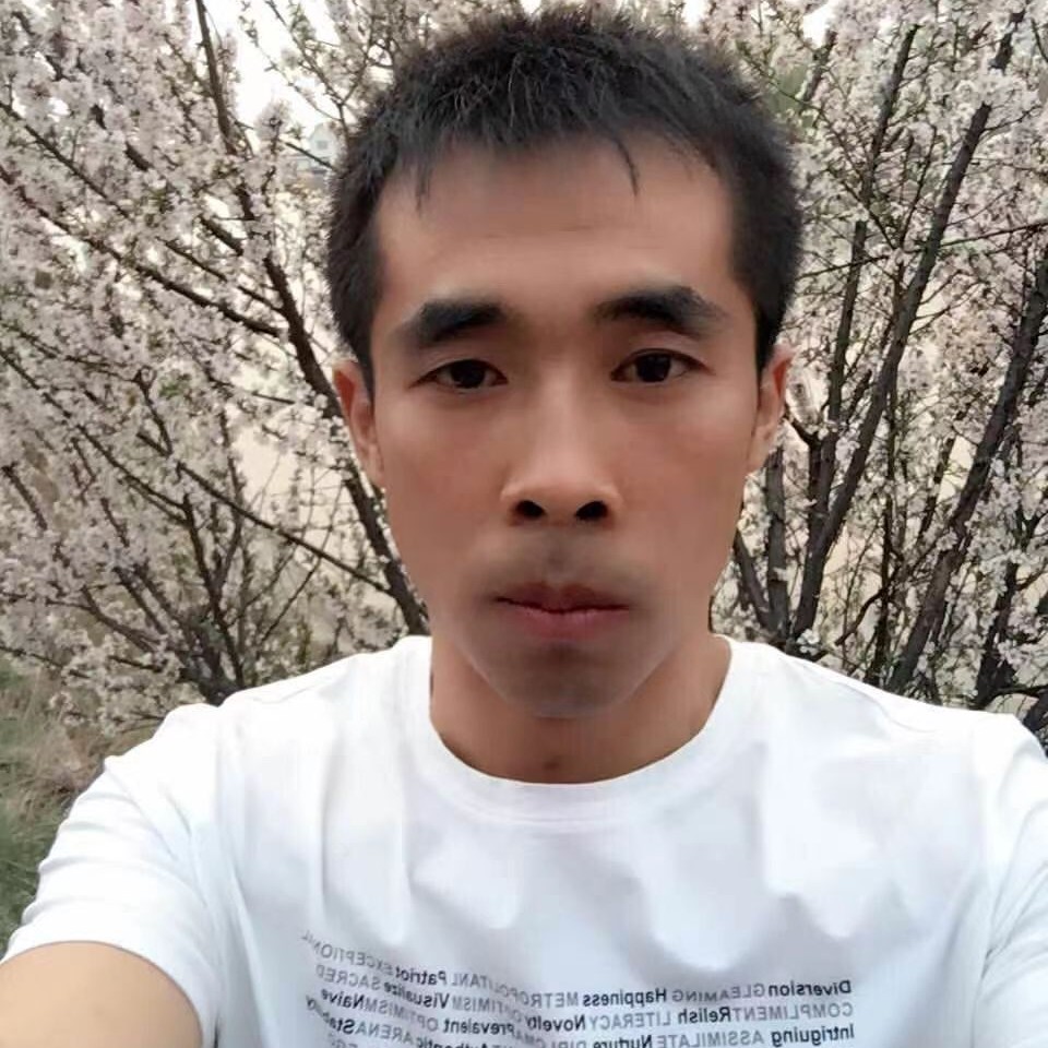 傲娇向老鼠的照片