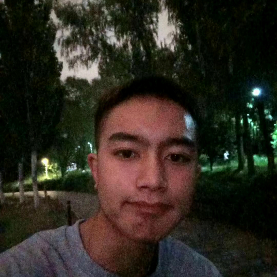 晨曦漫步斑驳的照片