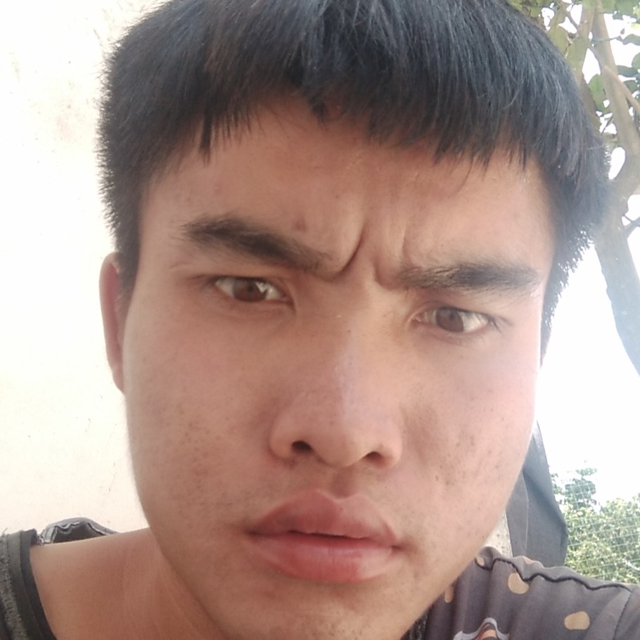 我们之间夏日恋爱的照片