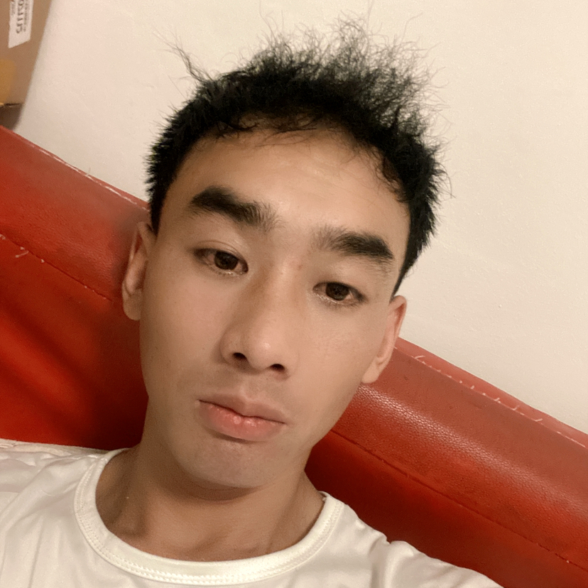 舒服还康乃馨的照片
