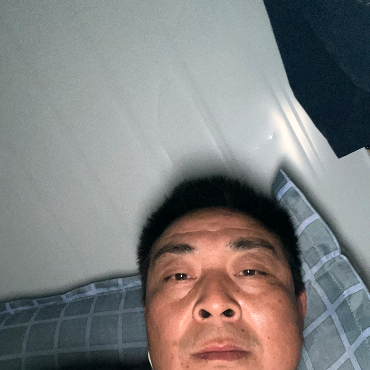 迷茫用康乃馨的照片