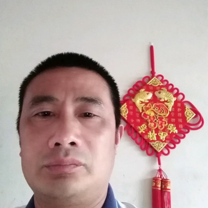 包菜种的照片