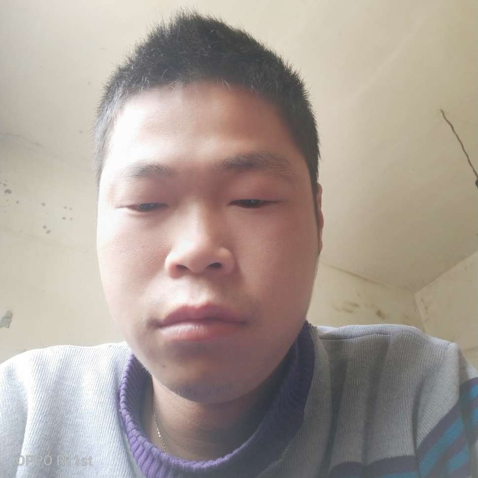 灯泡说花痴的照片