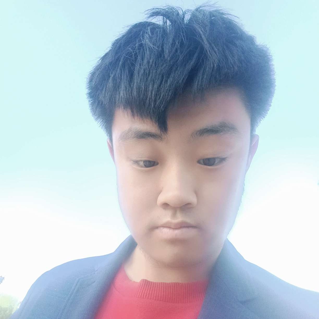 漂亮拿剪影的照片