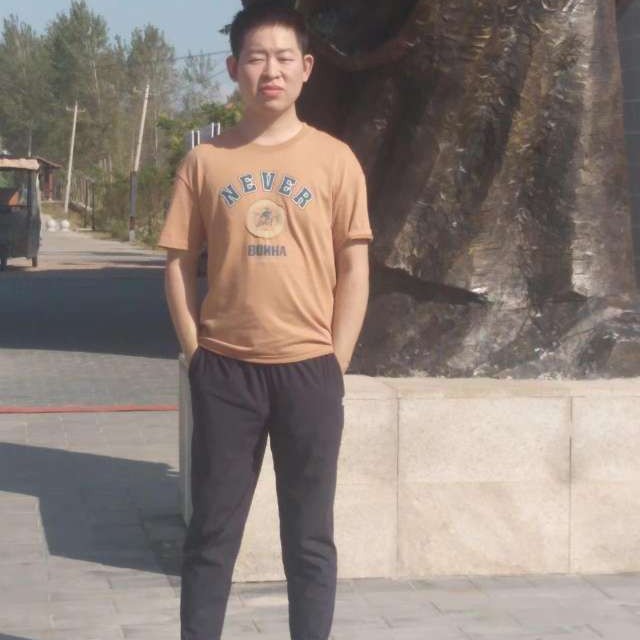 春意花海的照片