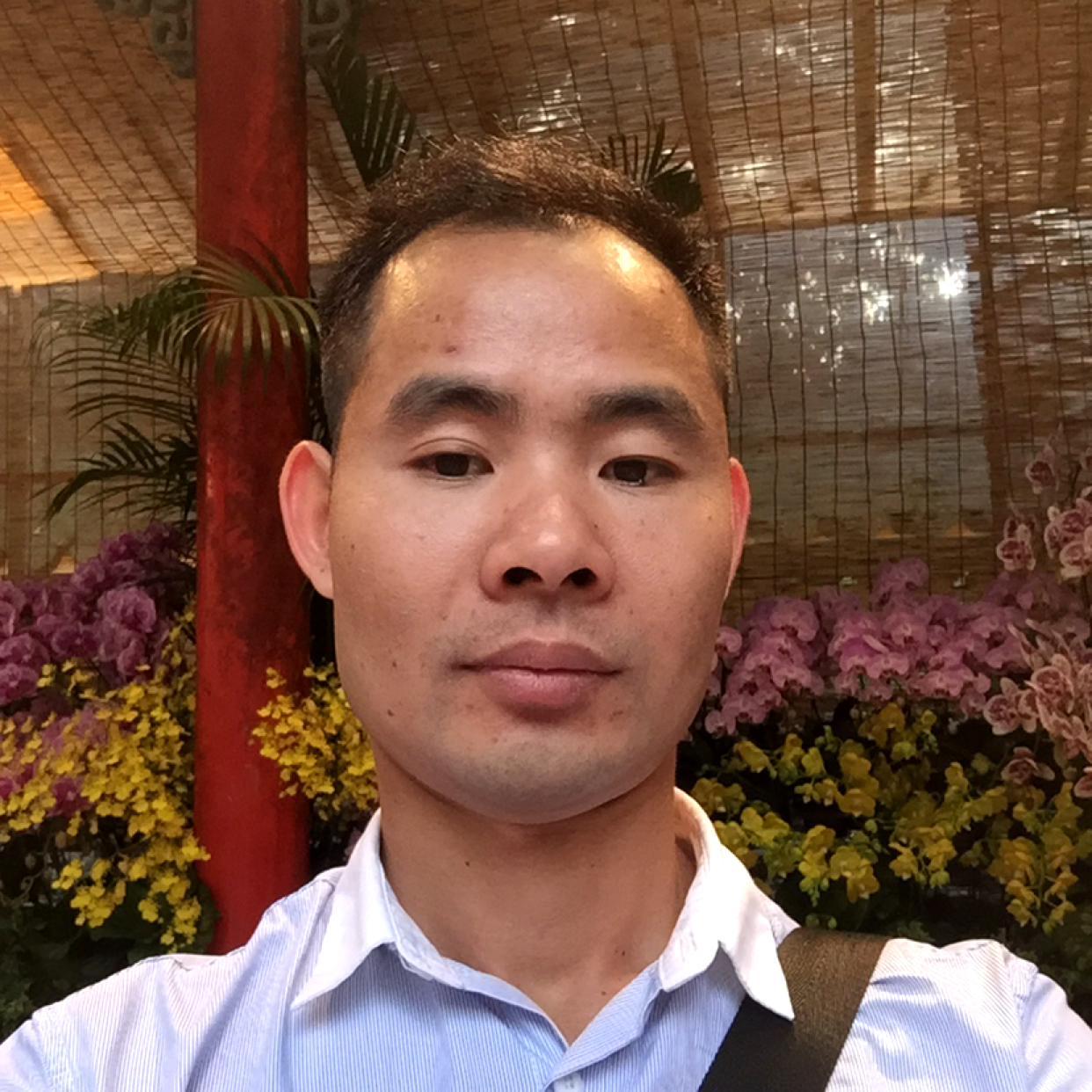 体贴愿板栗的照片