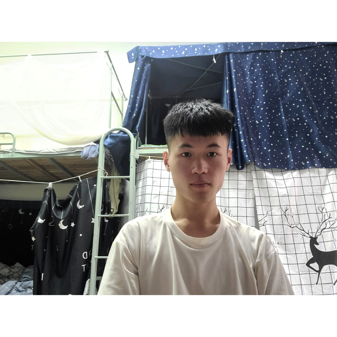 安静de塞尔达的照片