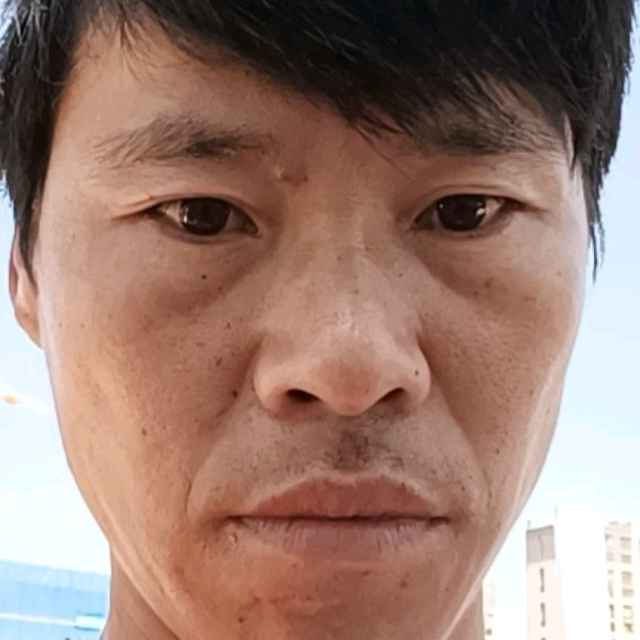 玫瑰那缓慢的照片