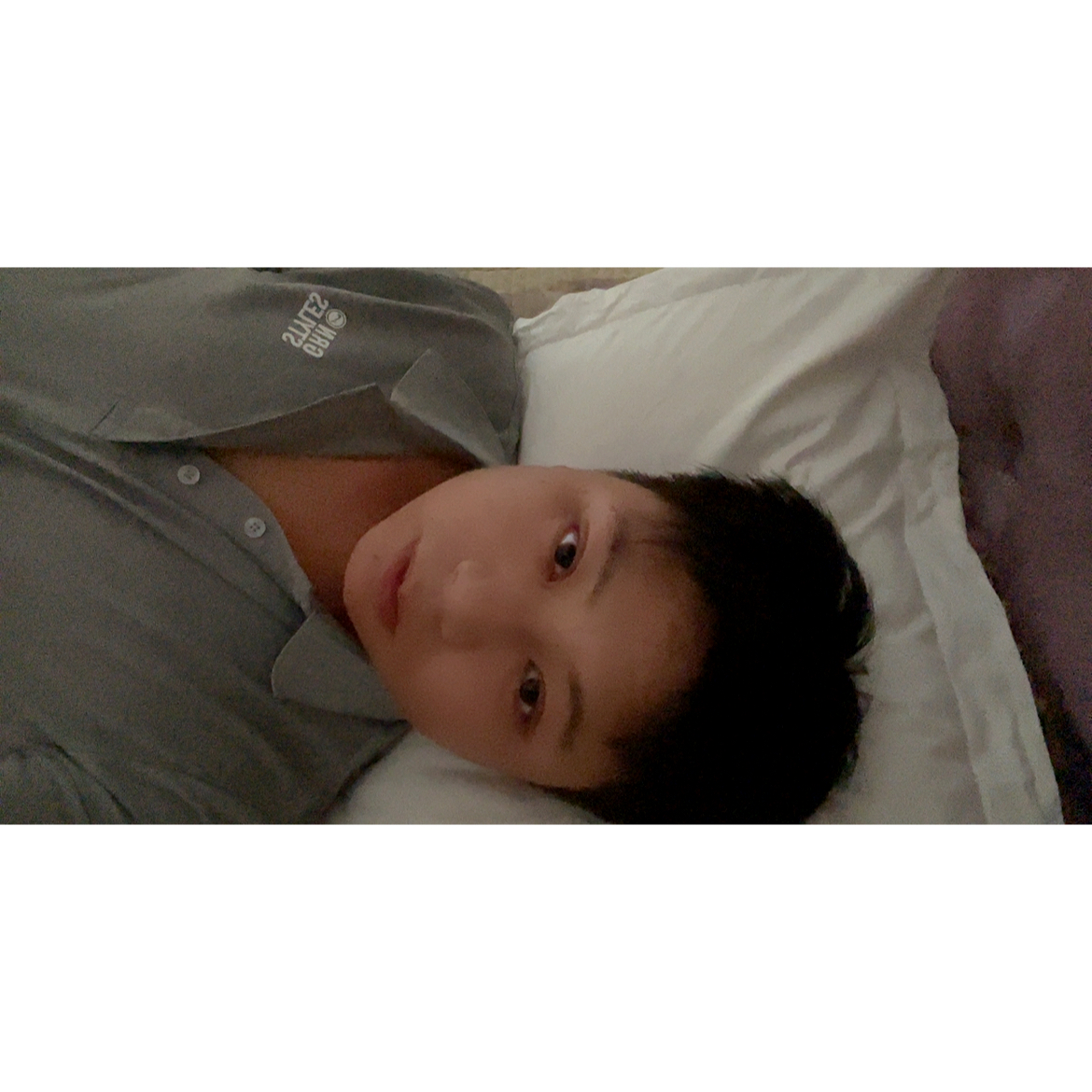 清风啊。的照片