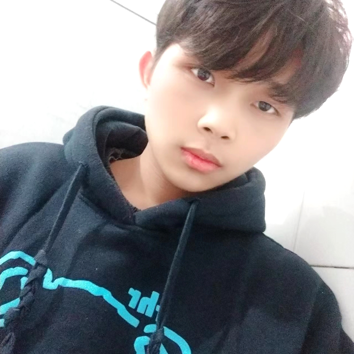 翩飞拾忆羽毛的照片