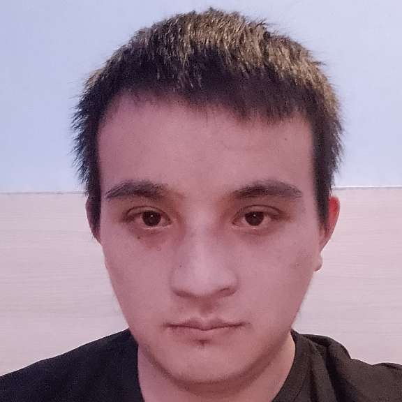 淡蓝色苹果的照片