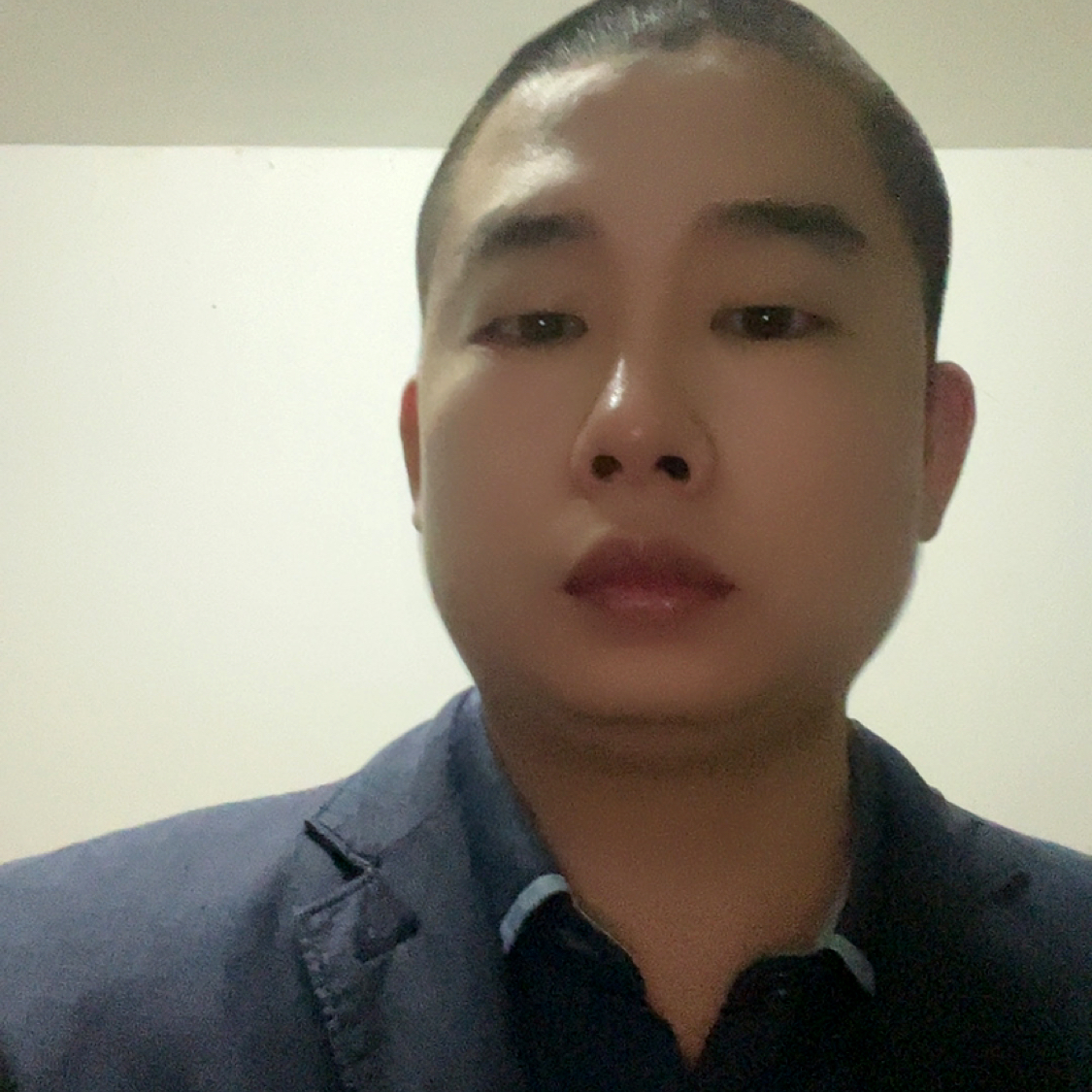 红牛漫步听话的照片
