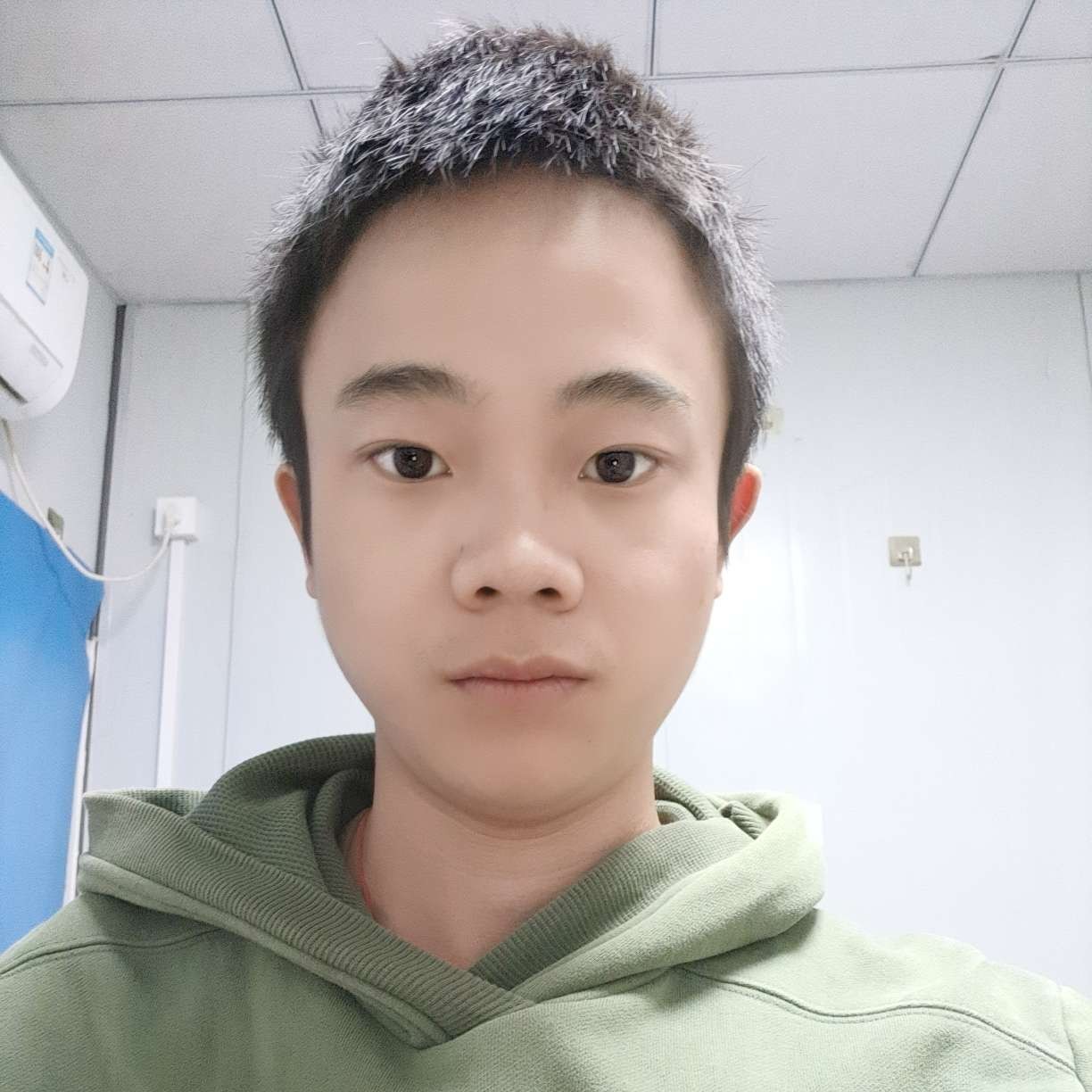 幻灭愿小海豚的照片