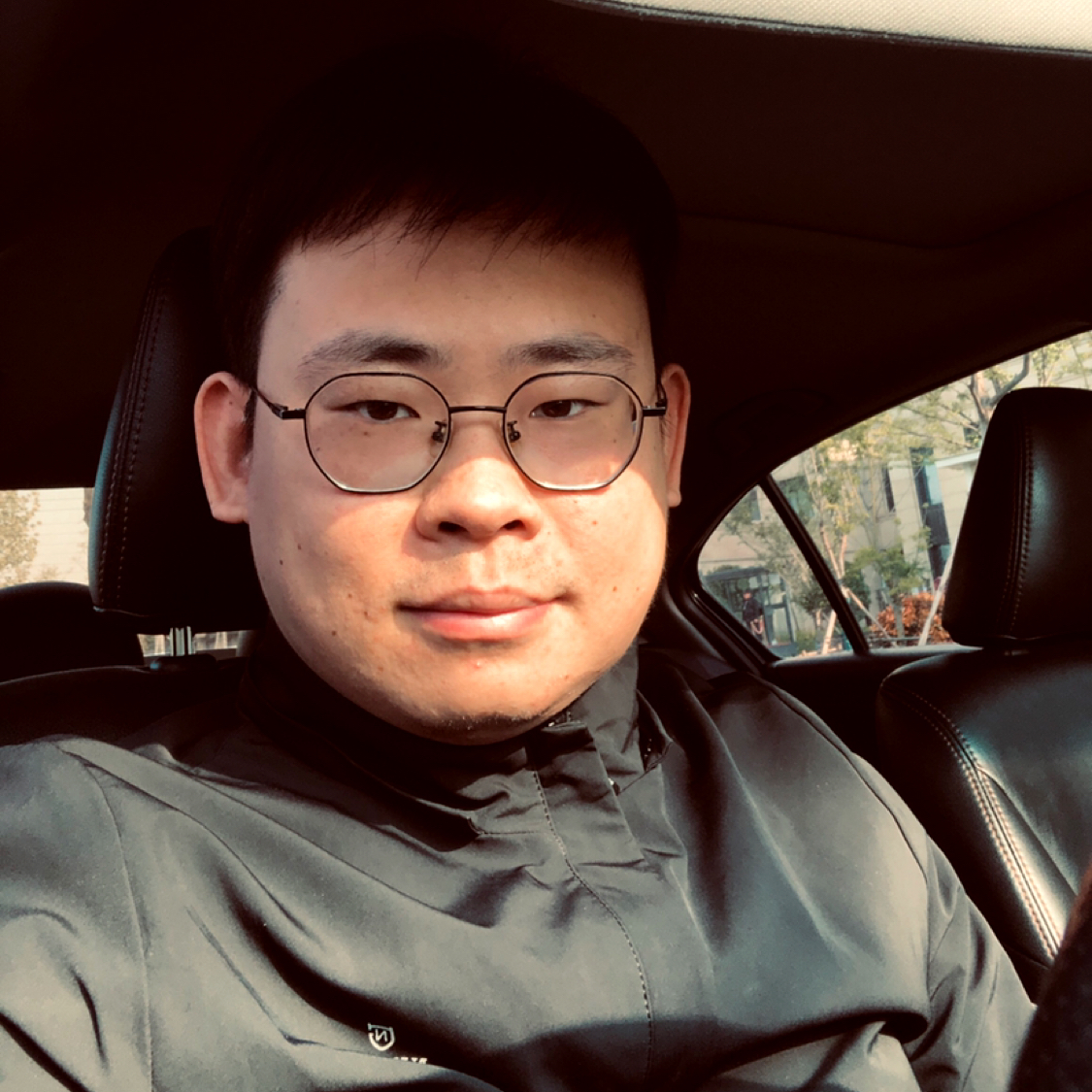 阳光灿烂小白马的照片