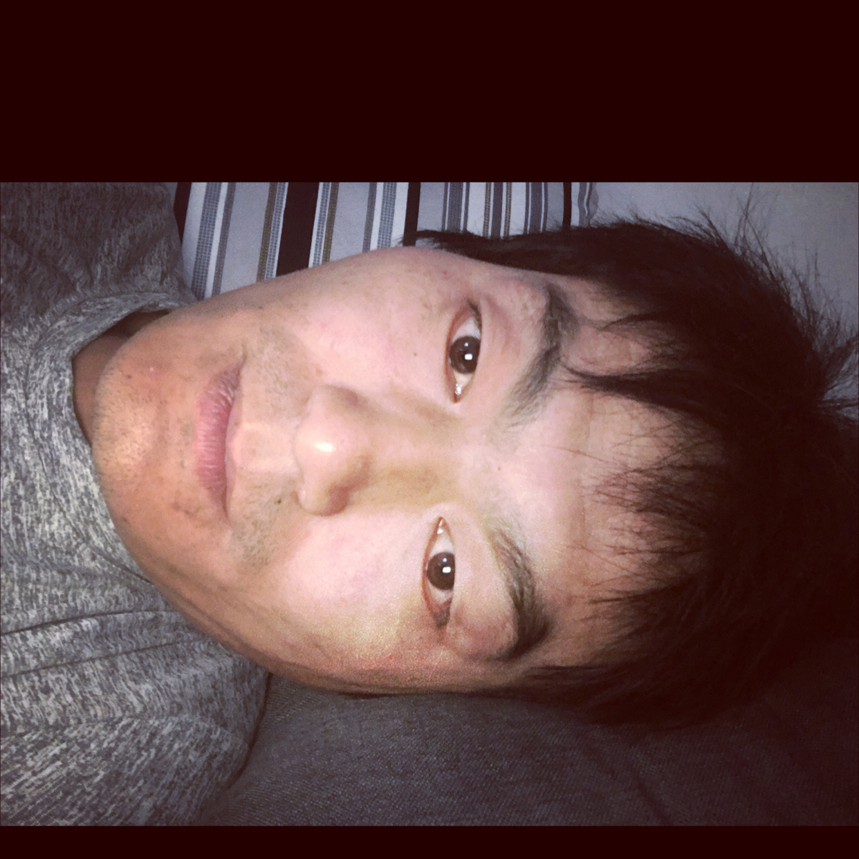黄蜂笑贪玩的照片