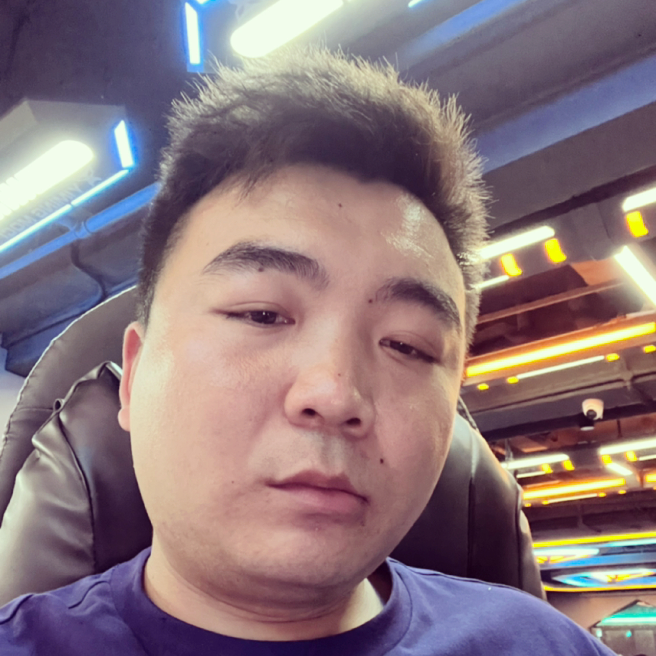 无奈向小天鹅的照片