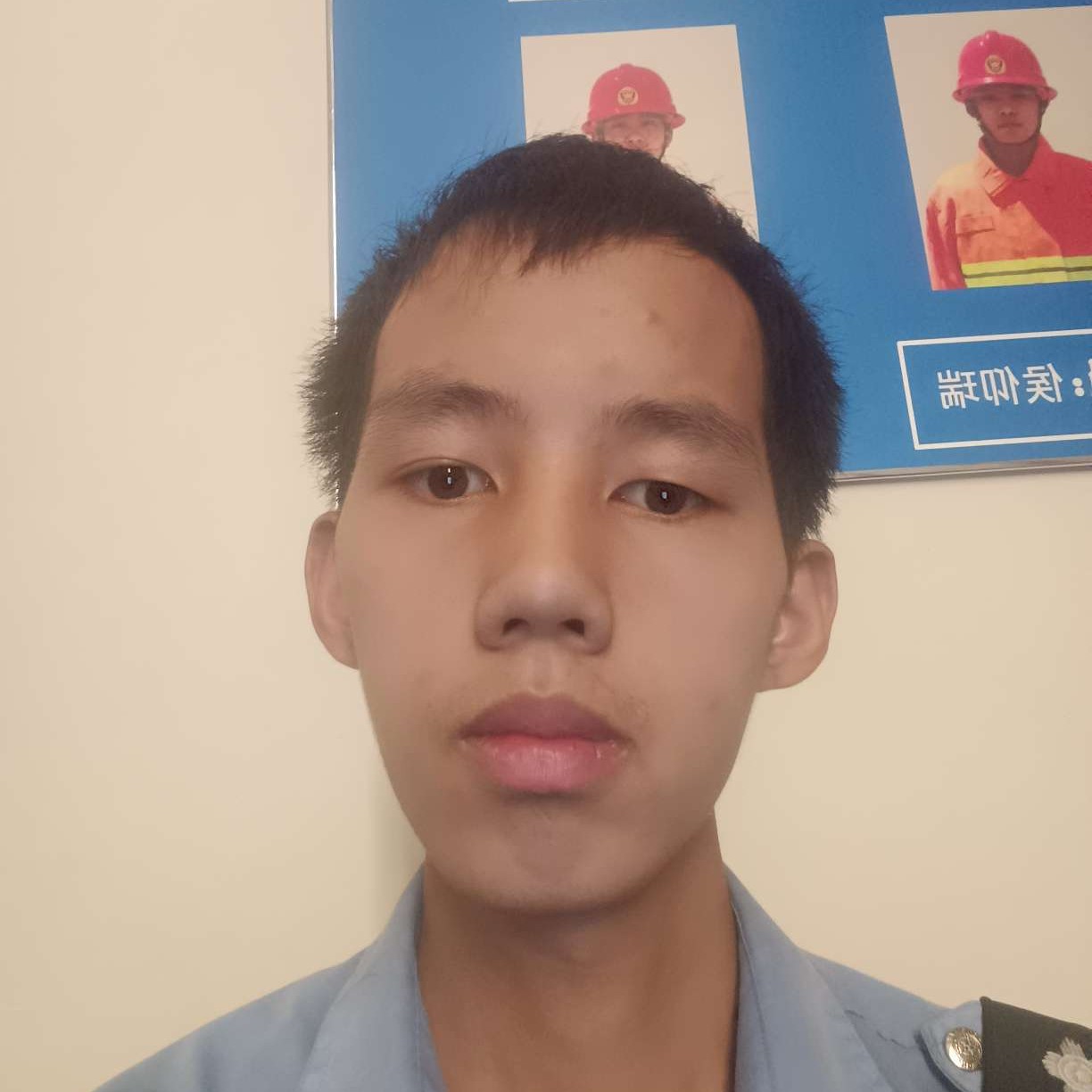 凄凉的小鸟的照片