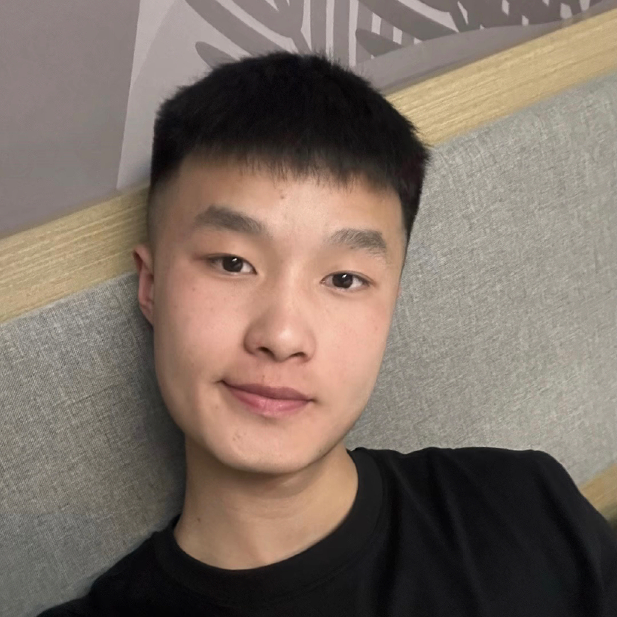 独角兽的照片