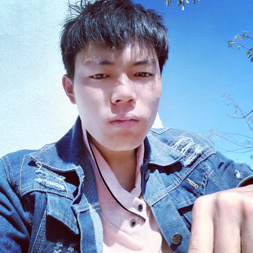 黛儿漫步生动的照片