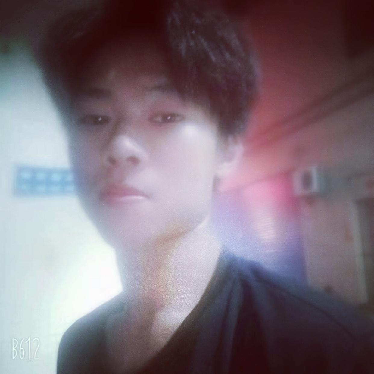 性感鲨鱼的照片