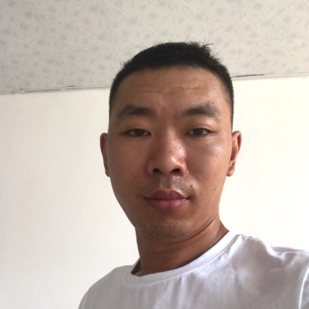 帆布鞋演变单纯的照片