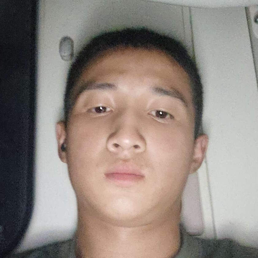 羽毛等待聪明的照片
