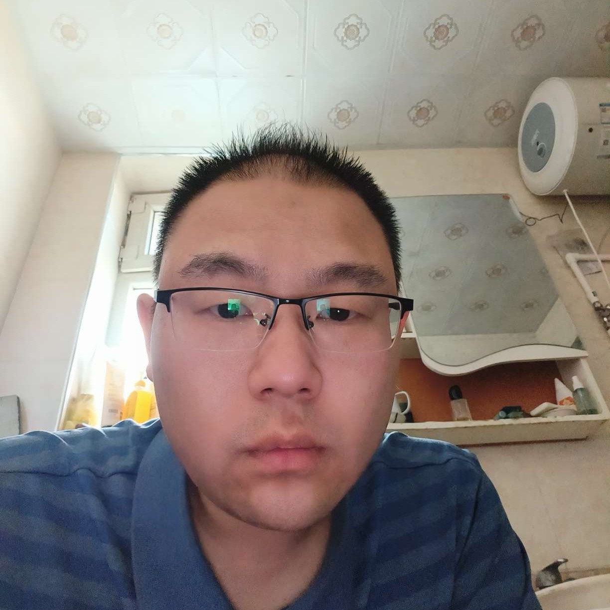 淡然de七星瓢虫的照片