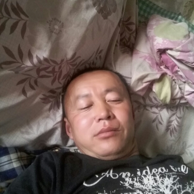 传统大树的照片