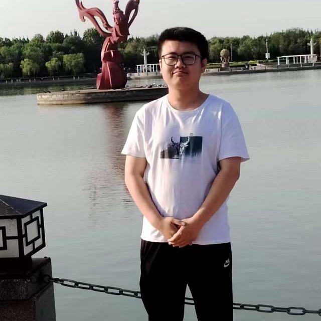 隐形de雨林的照片