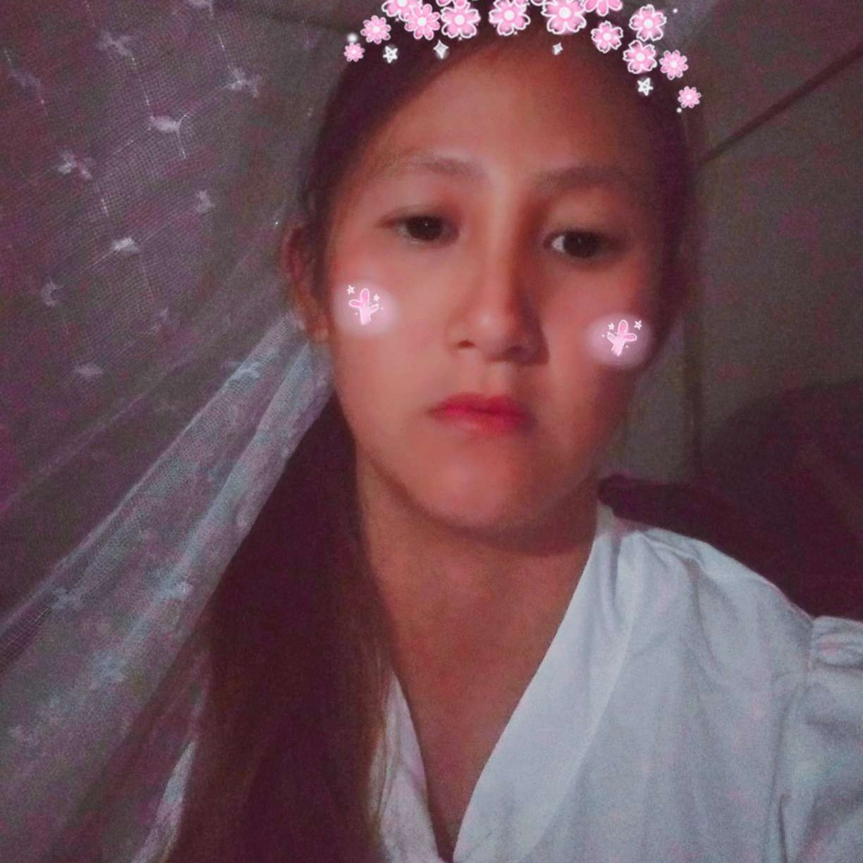 敏感倾心青花的照片